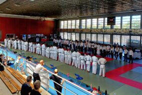 Photo montrant des judokas en ligne sur le tatamis prêt pour le salut face aux officiels du tournoi. Photo prise de la tribune du gymnase.